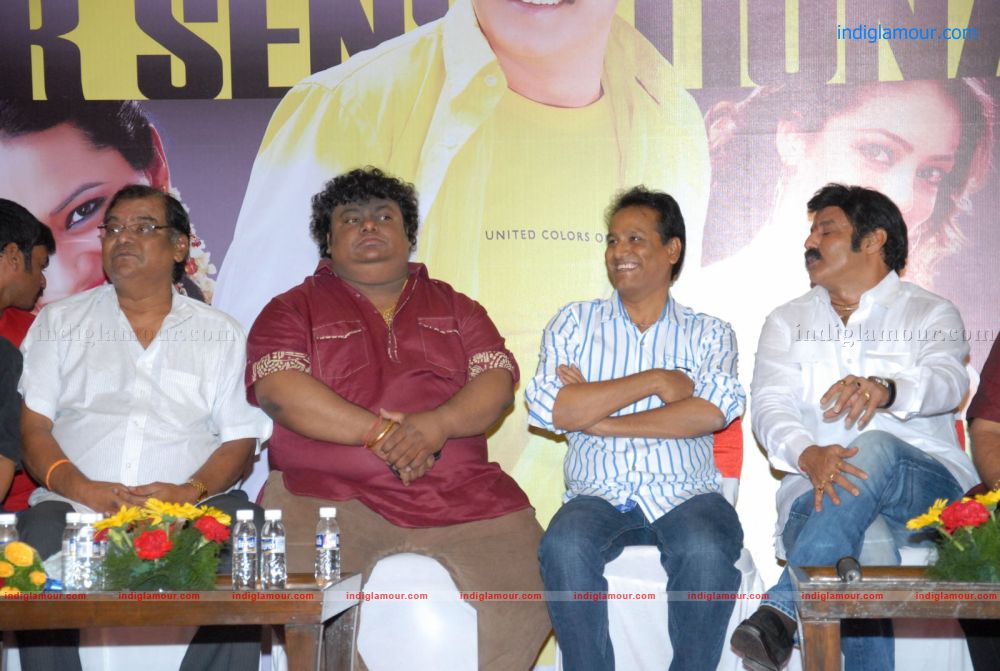 Srimannarayana Success Meet Stills Event hd photo