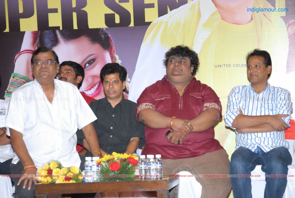 Srimannarayana Success Meet Stills Event hd photo