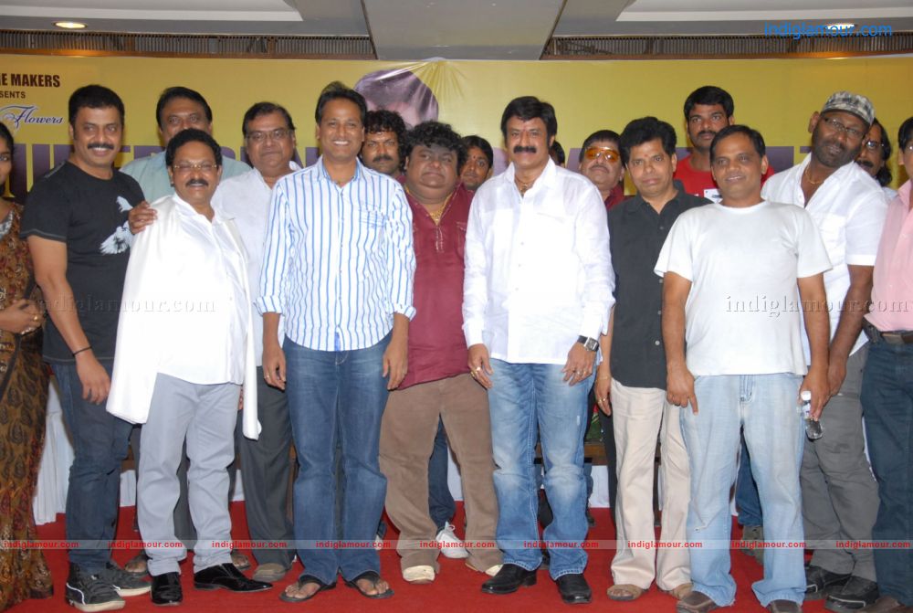Srimannarayana Success Meet Stills Event hd photo