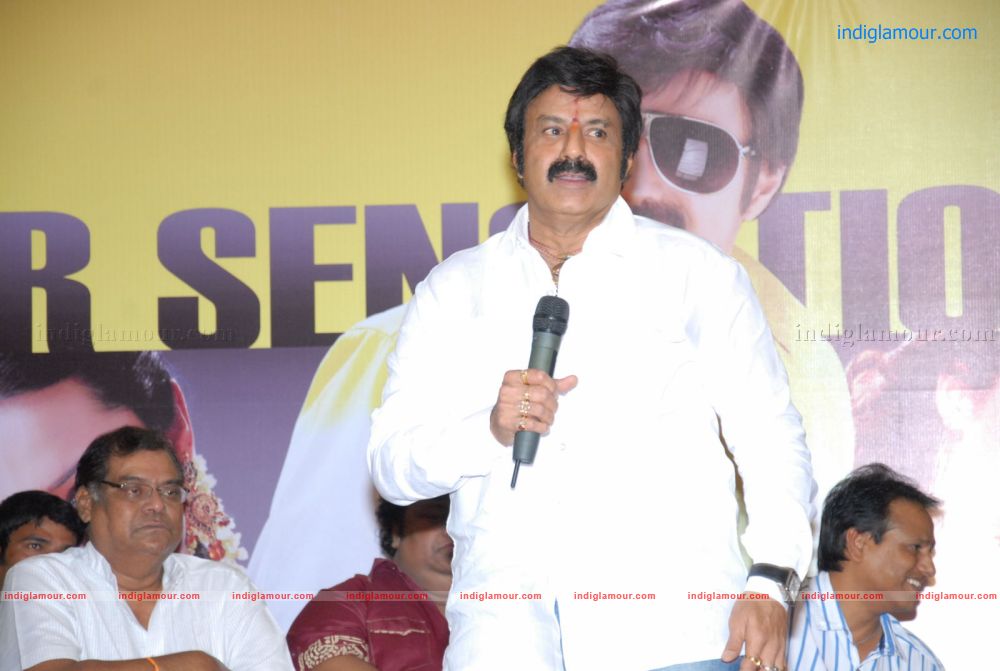 Srimannarayana Success Meet Stills Event hd photo