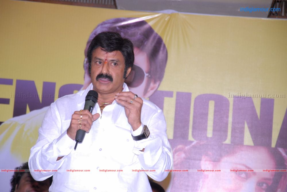 Srimannarayana Success Meet Stills Event hd photo