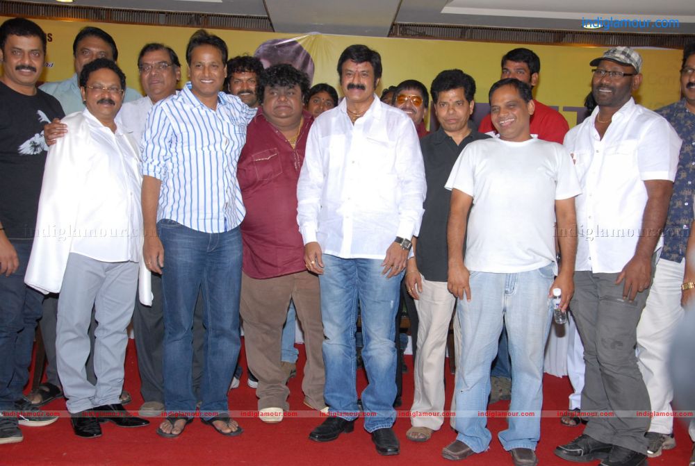 Srimannarayana Success Meet Stills Event hd photo