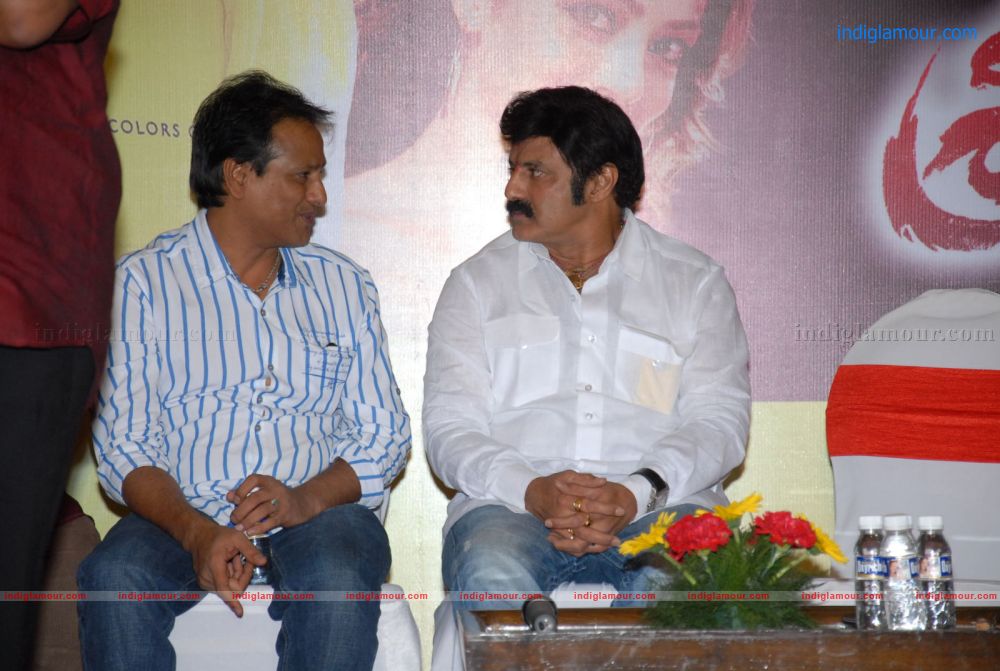 Srimannarayana Success Meet Stills Event hd photo