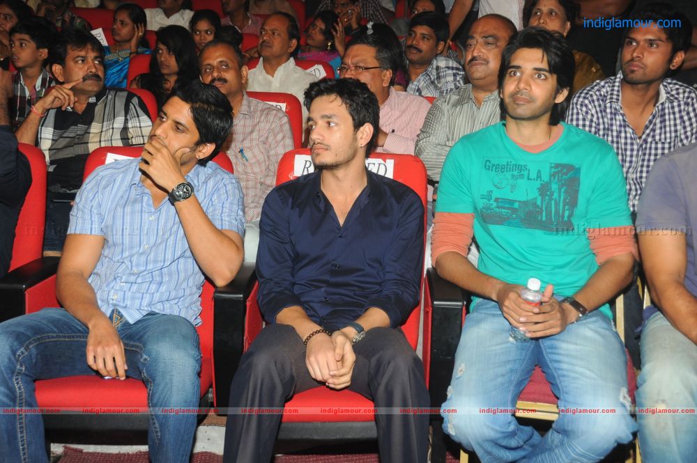 Damarukam Audio Release Event hd photo