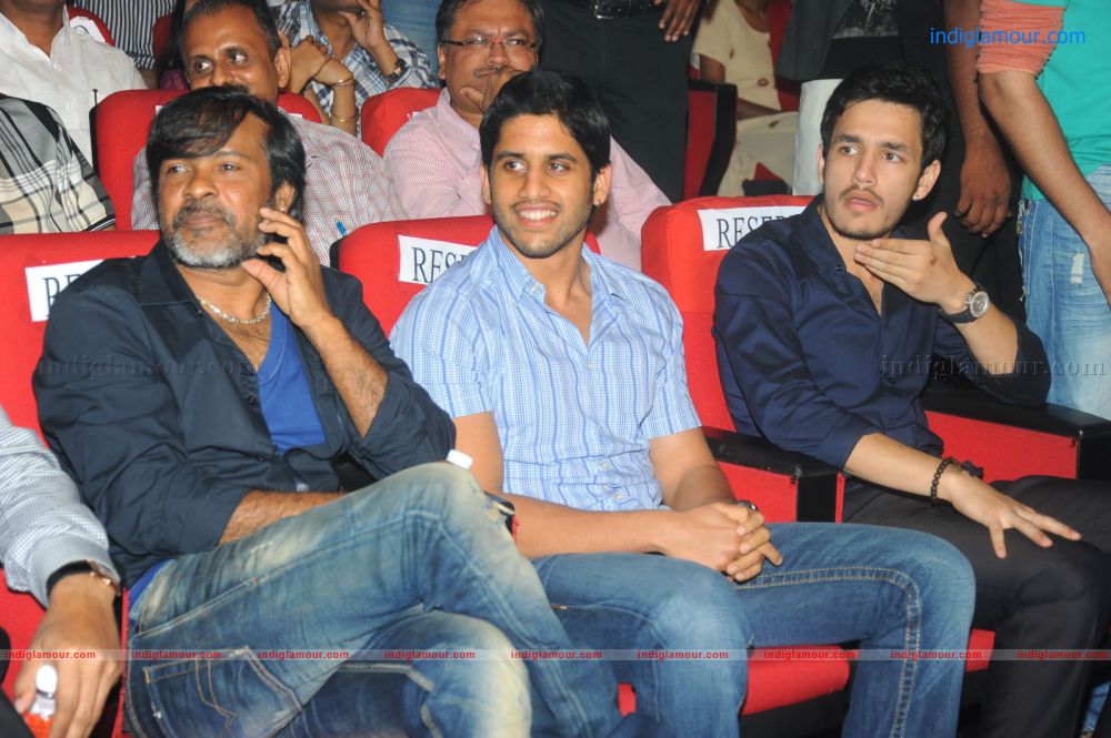 Damarukam Audio Release Event hd photo