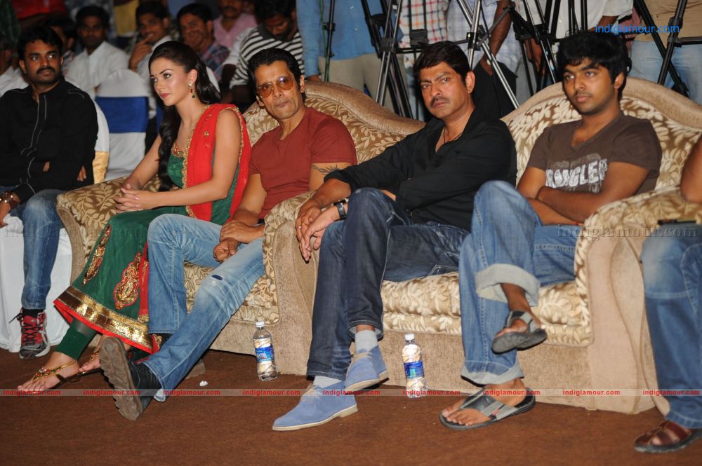 Siva Thandavam Audio Release Event hd photo