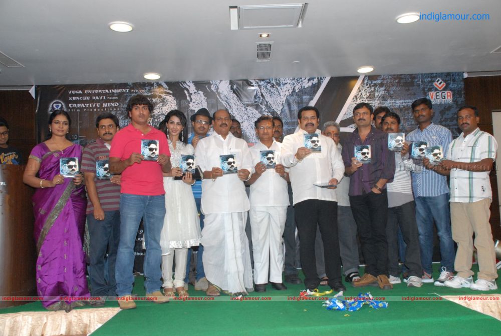 6 Movie Audio Release Event hd photo