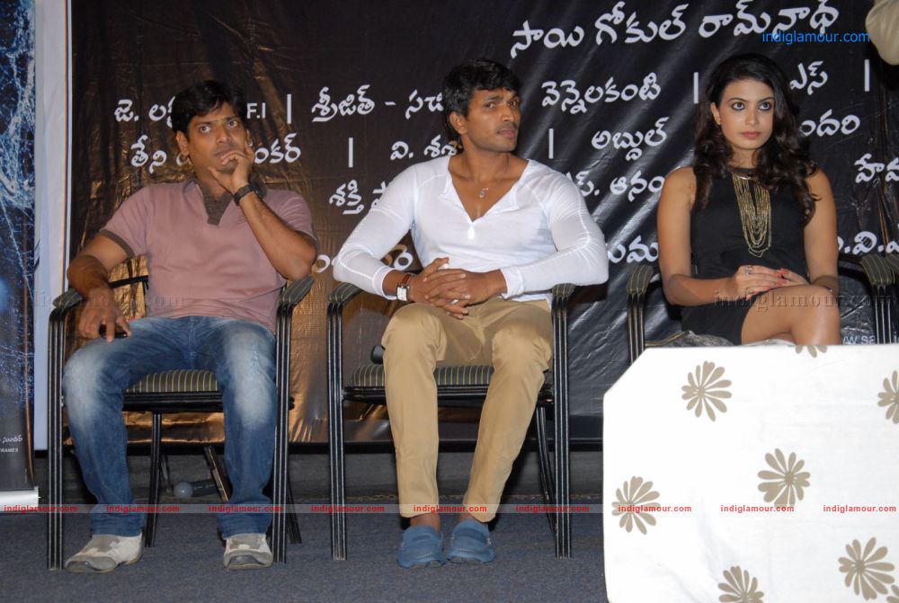 Shivani Logo Launch Event hd photo