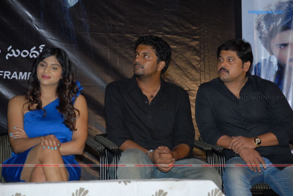 Shivani Logo Launch Event hd photo