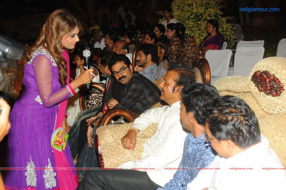 Denikaina Ready Movie Audio Launch Event hd photo