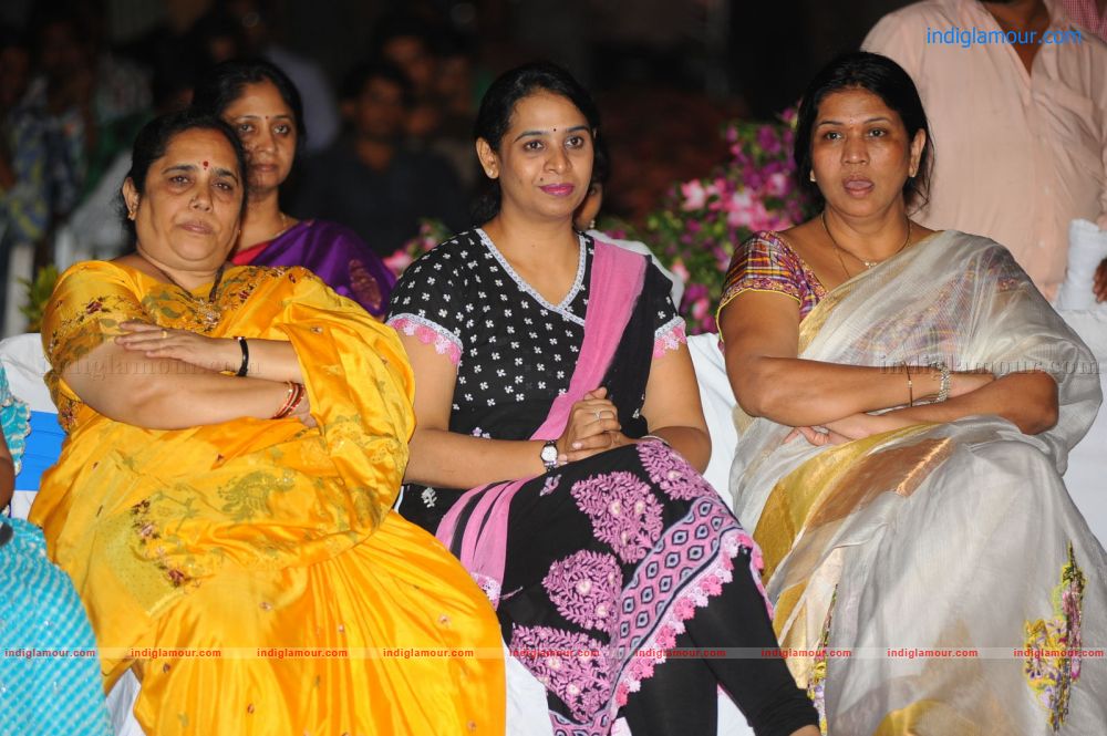 Denikaina Ready Movie Audio Launch Event hd photo