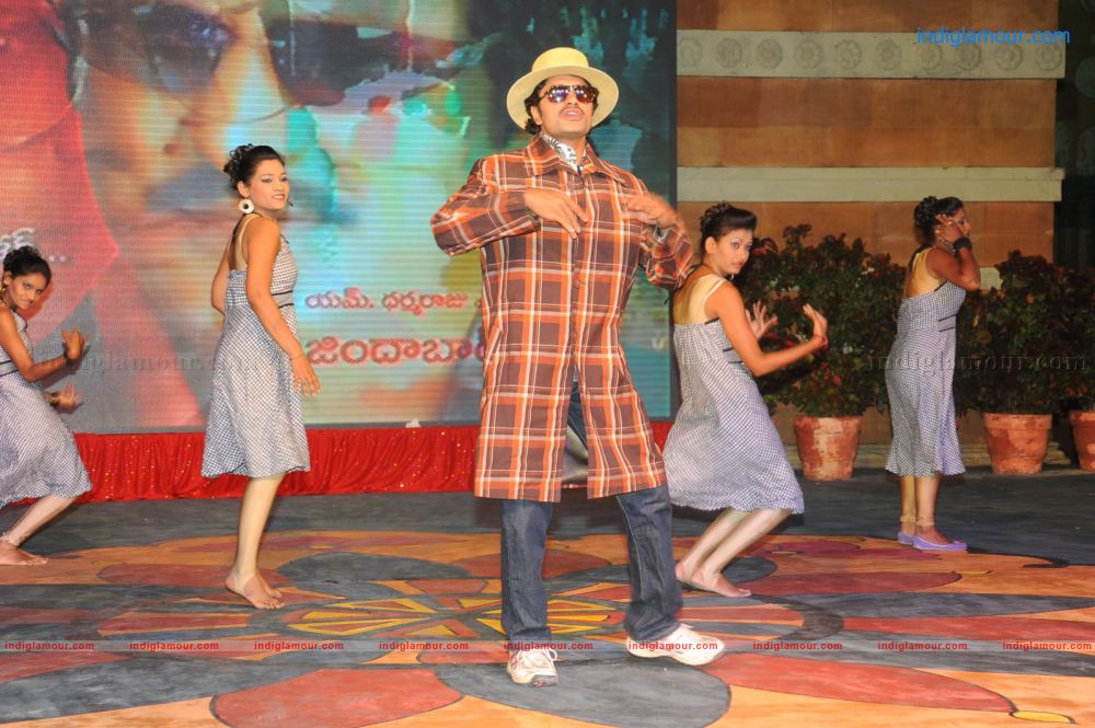 Denikaina Ready Movie Audio Launch Event hd photo