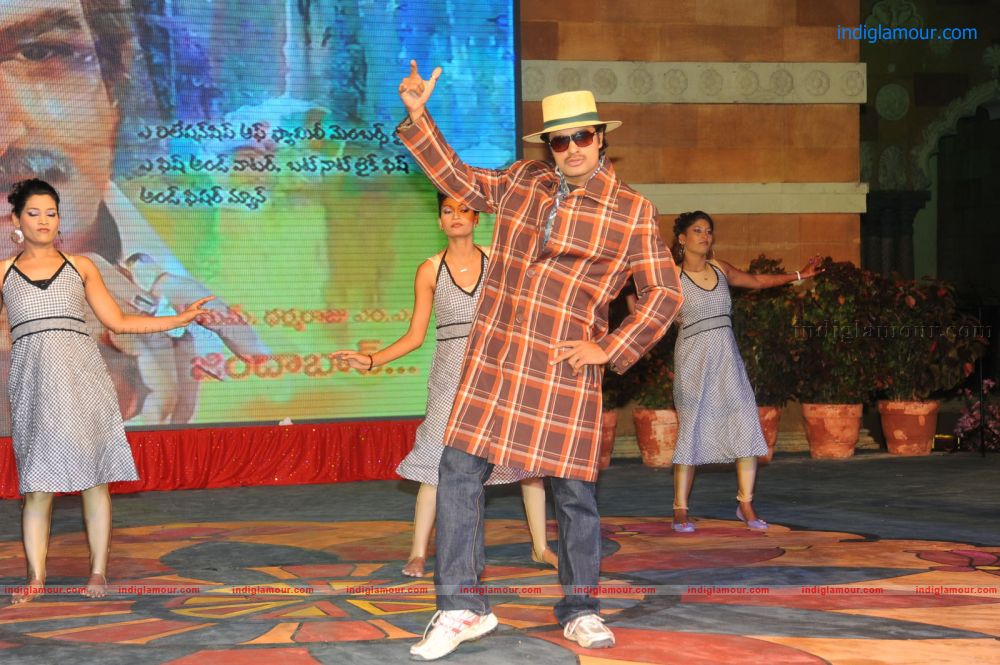 Denikaina Ready Movie Audio Launch Event hd photo