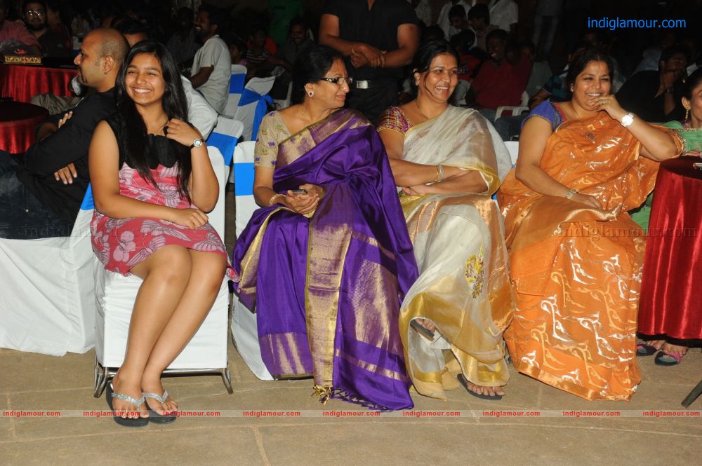 Denikaina Ready Movie Audio Launch Event hd photo