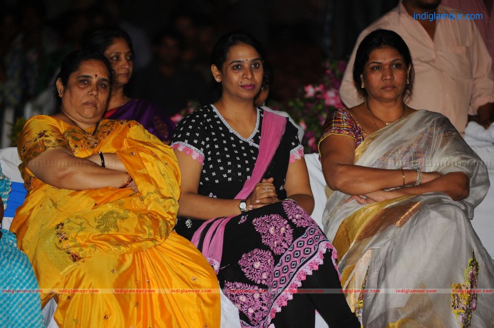 Denikaina Ready Movie Audio Launch Event hd photo