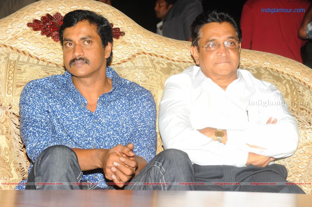 Denikaina Ready Movie Audio Launch Event hd photo