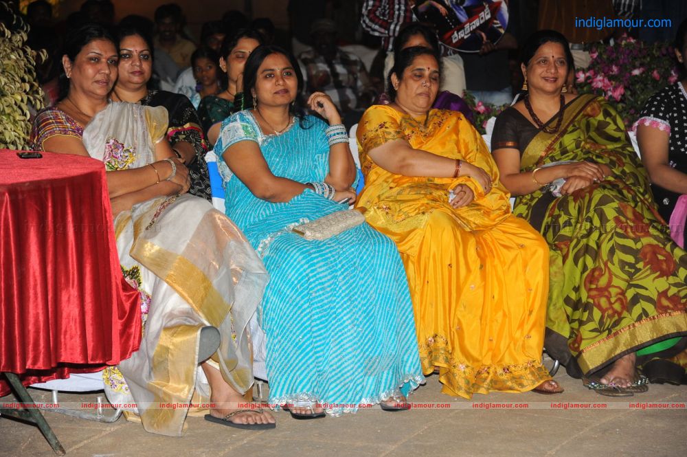 Denikaina Ready Movie Audio Launch Event hd photo
