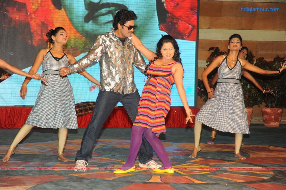 Denikaina Ready Movie Audio Launch Event hd photo