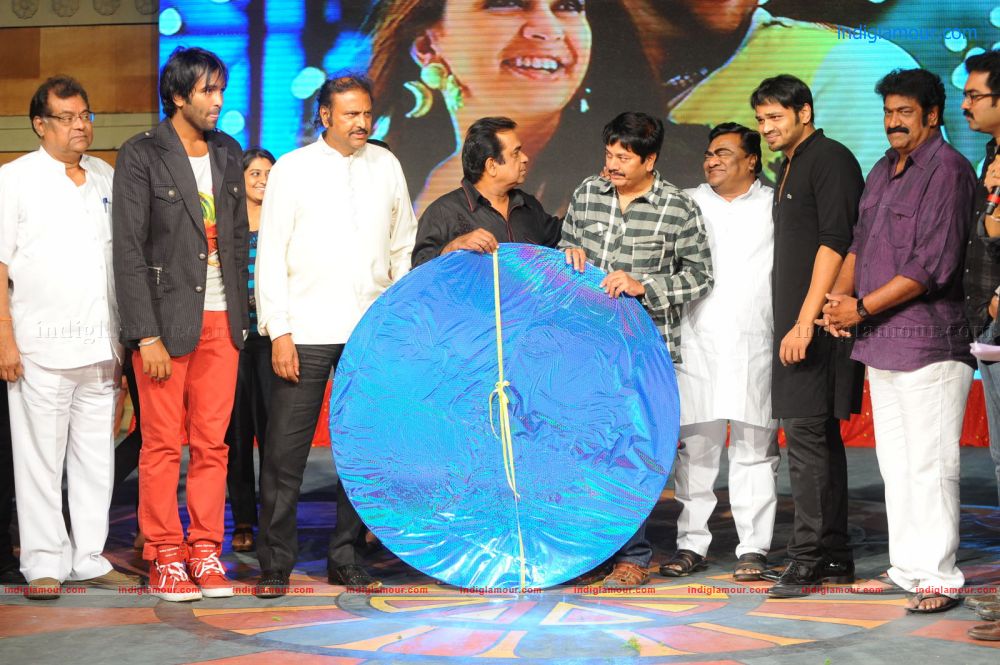 Denikaina Ready Movie Audio Launch Event hd photo