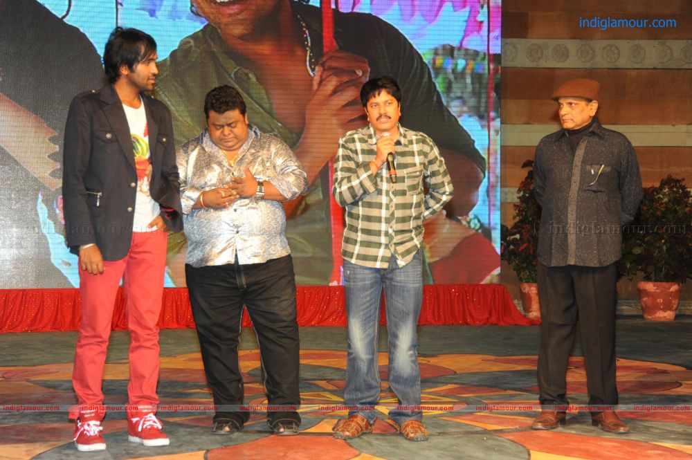 Denikaina Ready Movie Audio Launch Event hd photo