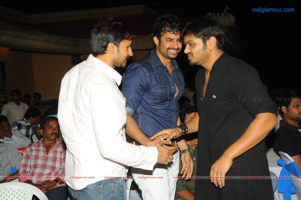 Denikaina Ready Movie Audio Launch Event hd photo
