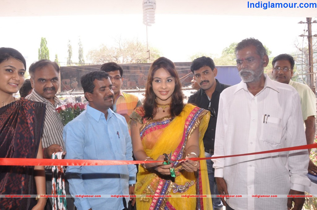 Pochampally Ikat Art Mela Event hd photo