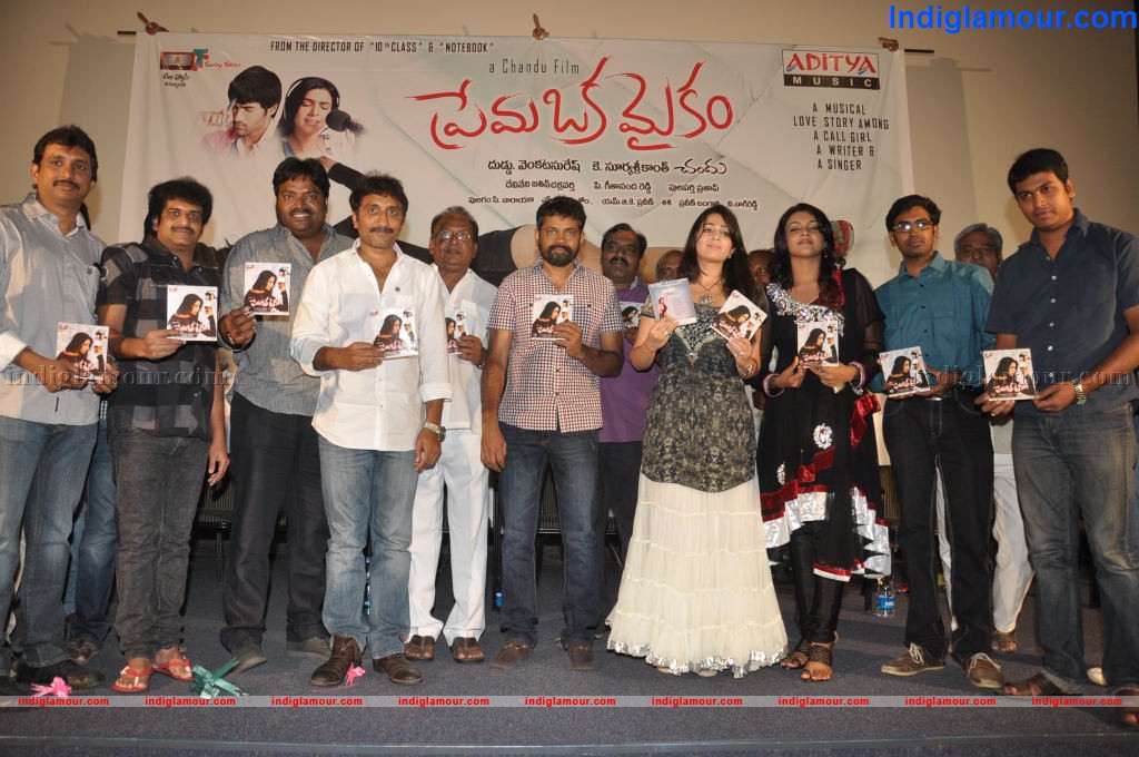Prema Oka Maikam Audio Launch Event hd photo