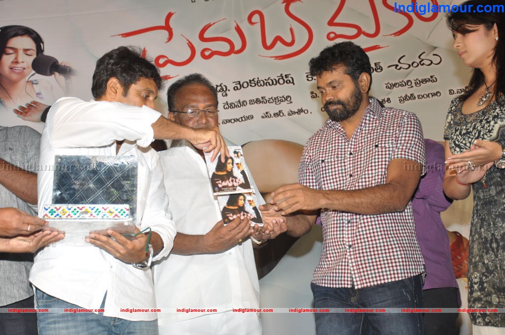 Prema Oka Maikam Audio Launch Event hd photo