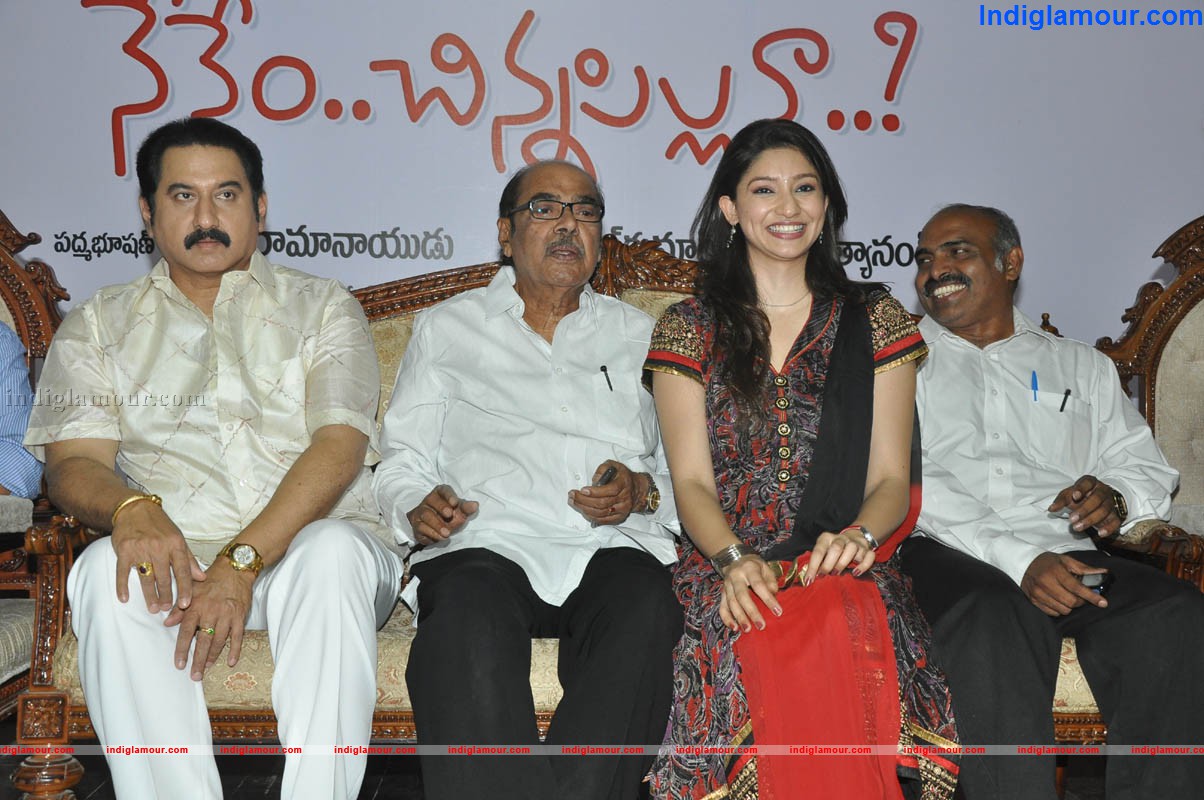 Nenem Chinnapillana Press Meet Event hd photo