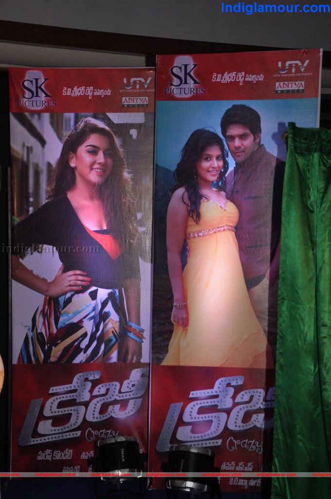 Crazy Movie Audio Launch Event hd photo
