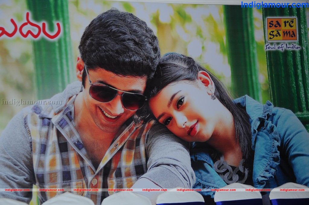 Pelli Pusthakam Audio Launch Event hd photo