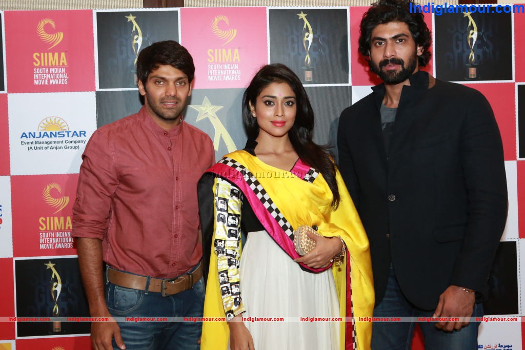 Tolly Celebs Announce SIIMA Awards 2013 Event hd photo