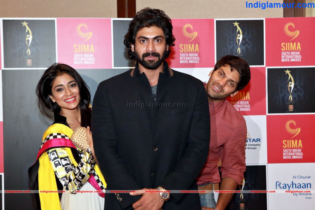 Tolly Celebs Announce SIIMA Awards 2013 Event hd photo