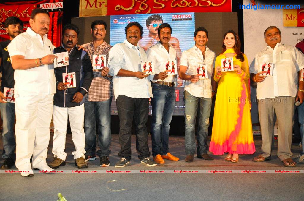 Mr Pellikoduku Movie Audio Launch Event hd photo