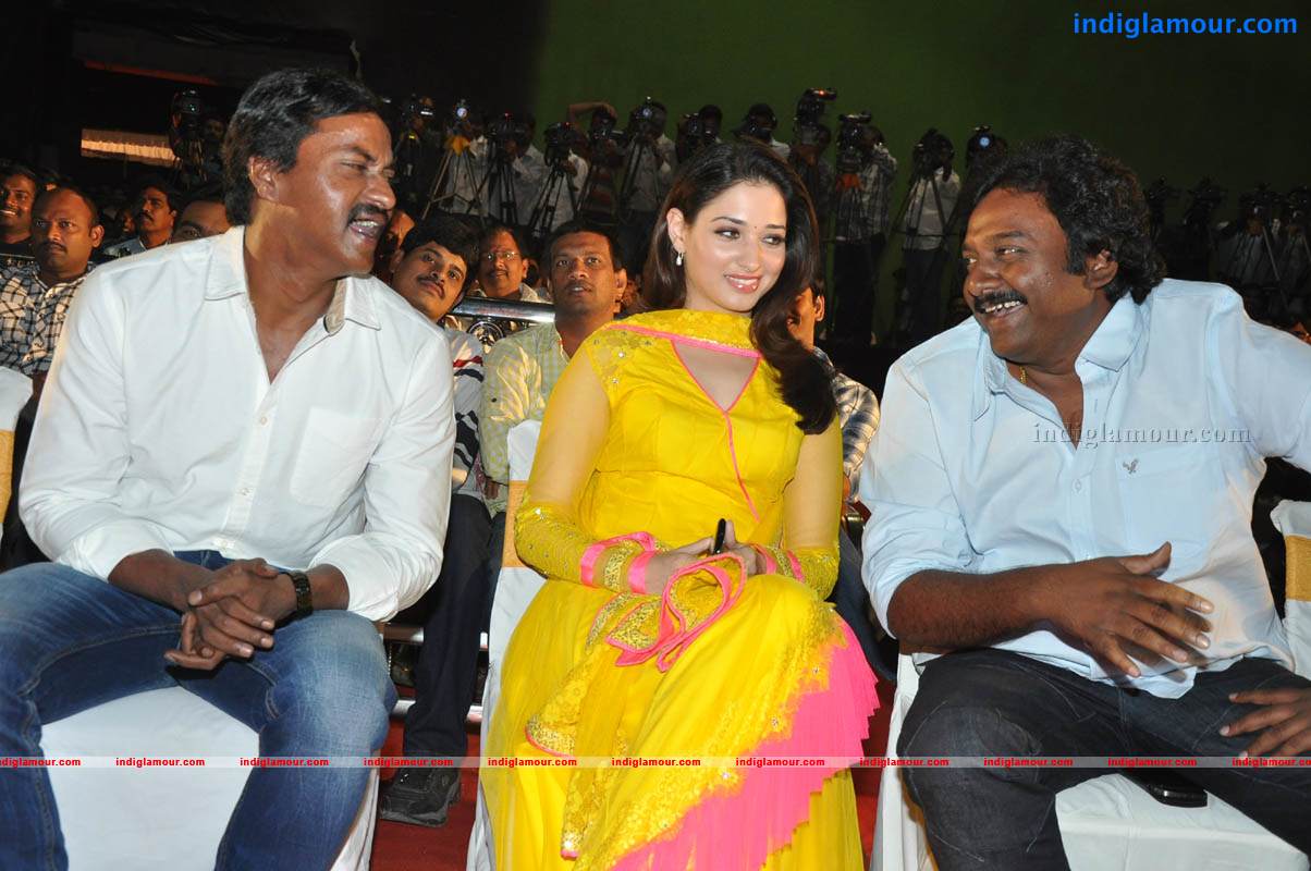 Mr Pellikoduku Movie Audio Launch Event hd photo