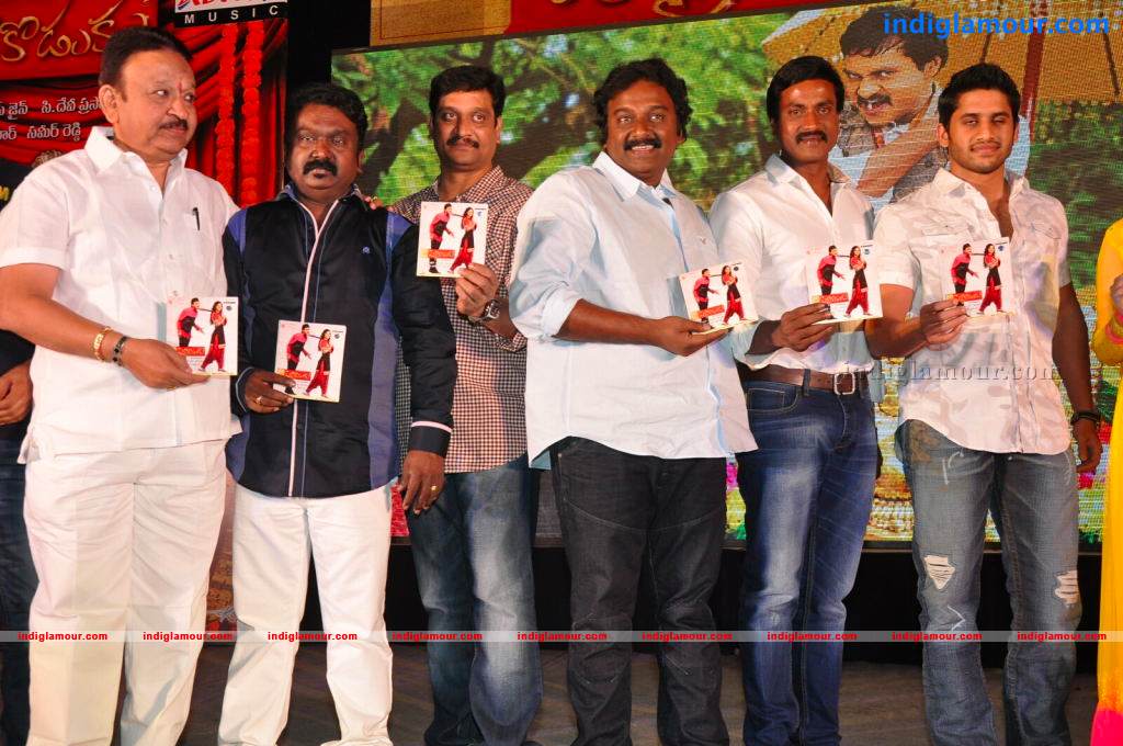 Mr Pellikoduku Movie Audio Launch Event hd photo