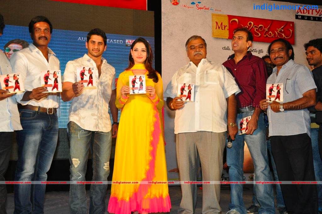 Mr Pellikoduku Movie Audio Launch Event hd photo