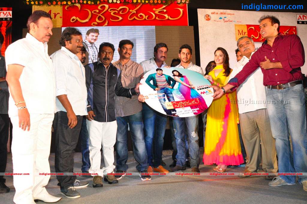 Mr Pellikoduku Movie Audio Launch Event hd photo