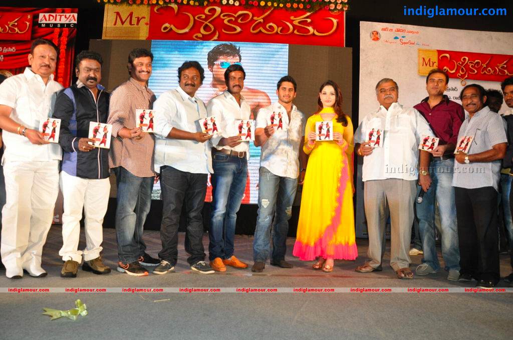 Mr Pellikoduku Movie Audio Launch Event hd photo