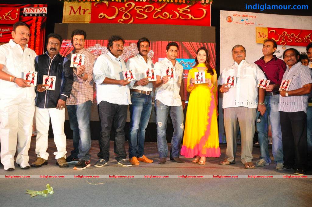 Mr Pellikoduku Movie Audio Launch Event hd photo