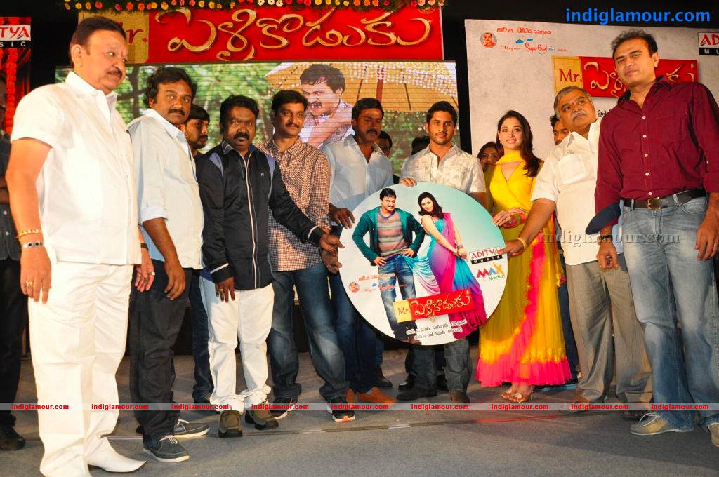 Mr Pellikoduku Movie Audio Launch Event hd photo