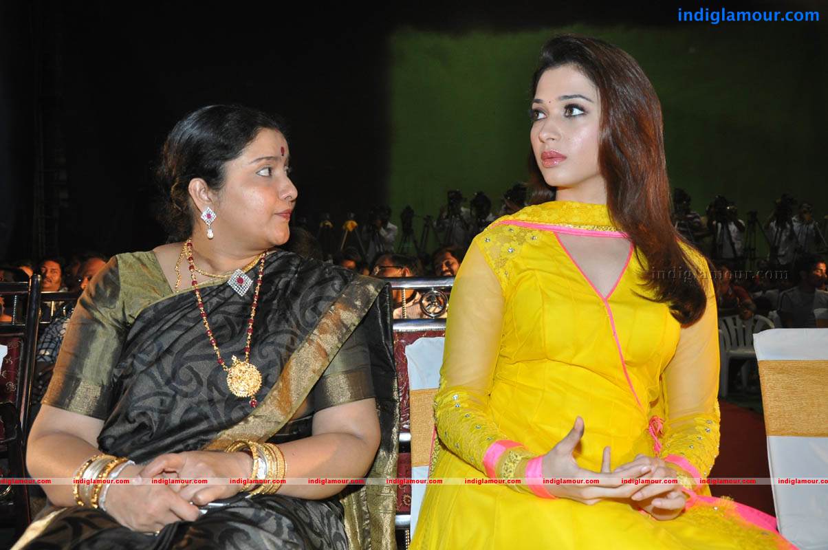 Mr Pellikoduku Movie Audio Launch Event hd photo