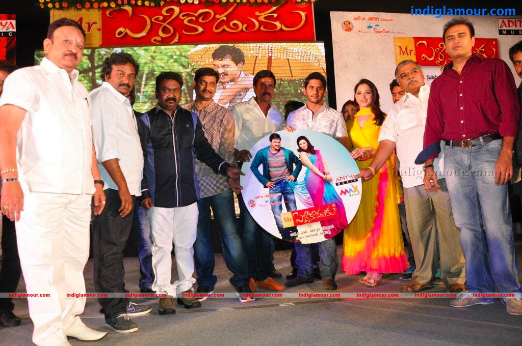 Mr Pellikoduku Movie Audio Launch Event hd photo