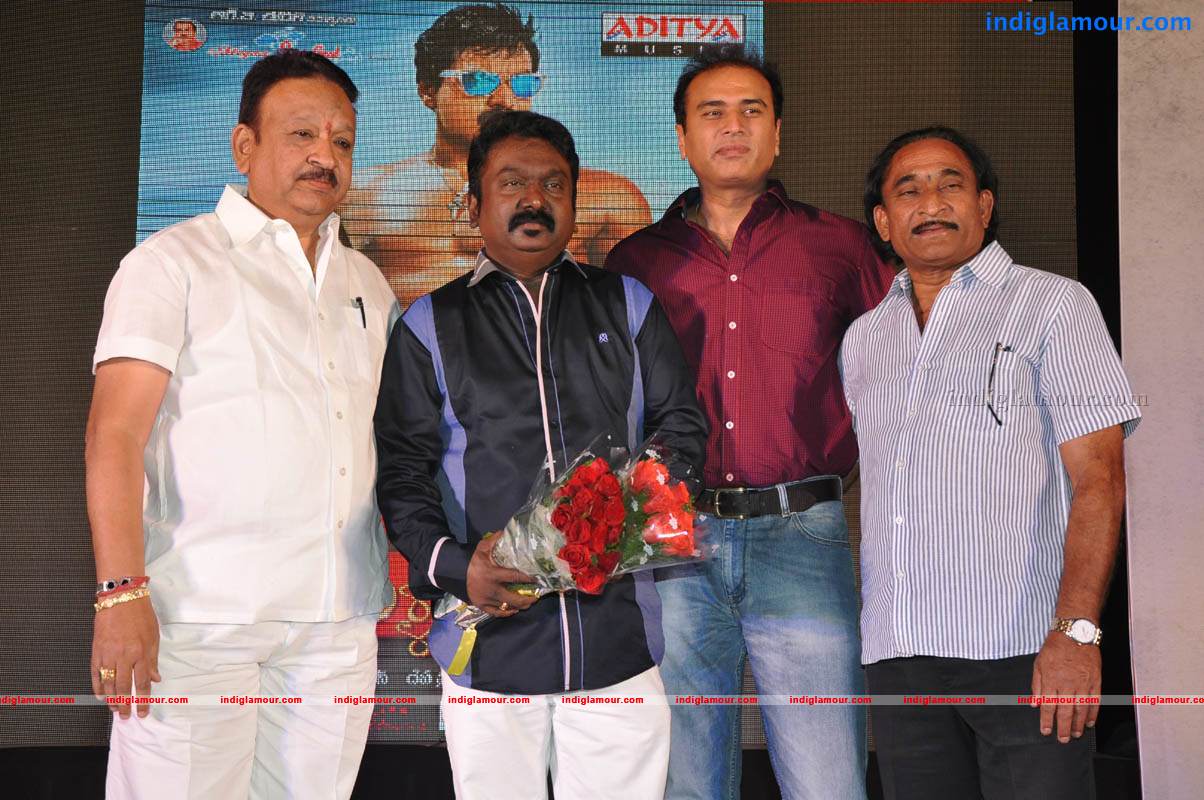 Mr Pellikoduku Movie Audio Launch Event hd photo