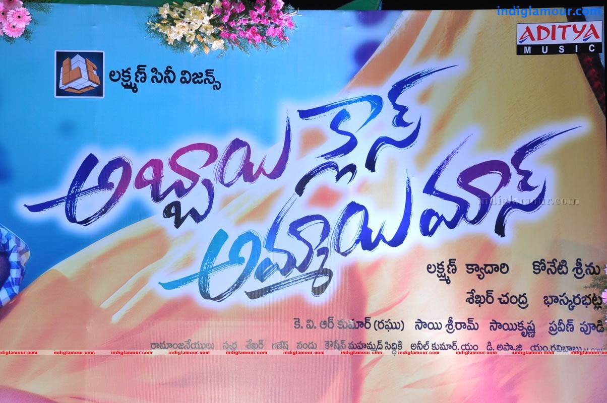 Abbai Class Ammai Mass Movie Audio Launch Event hd photo