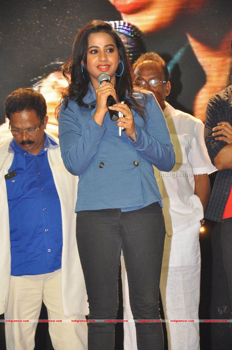Break up Movie Audio Launch Event hd photo