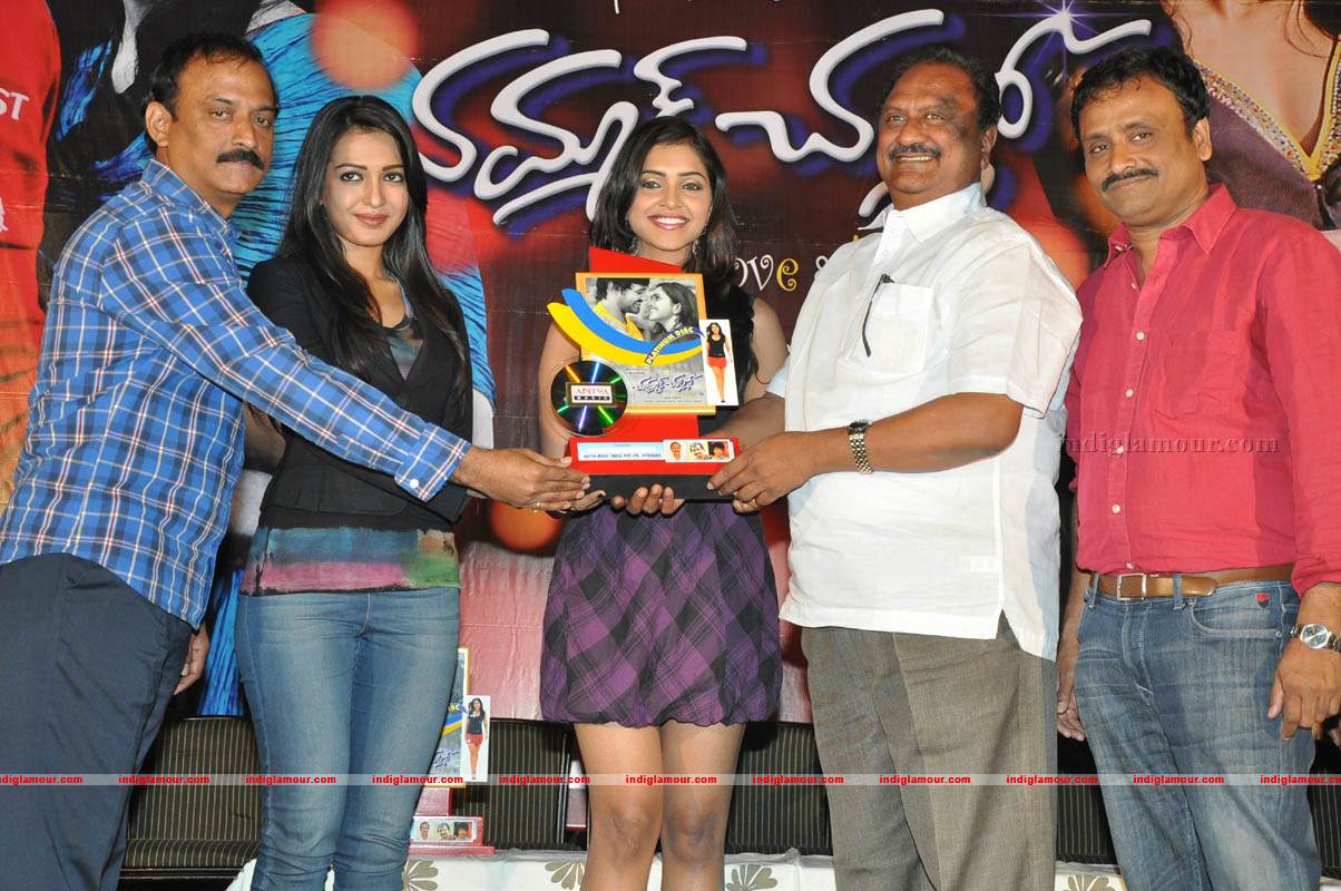 Chammak Challo Platinum Disc Function Event hd photo