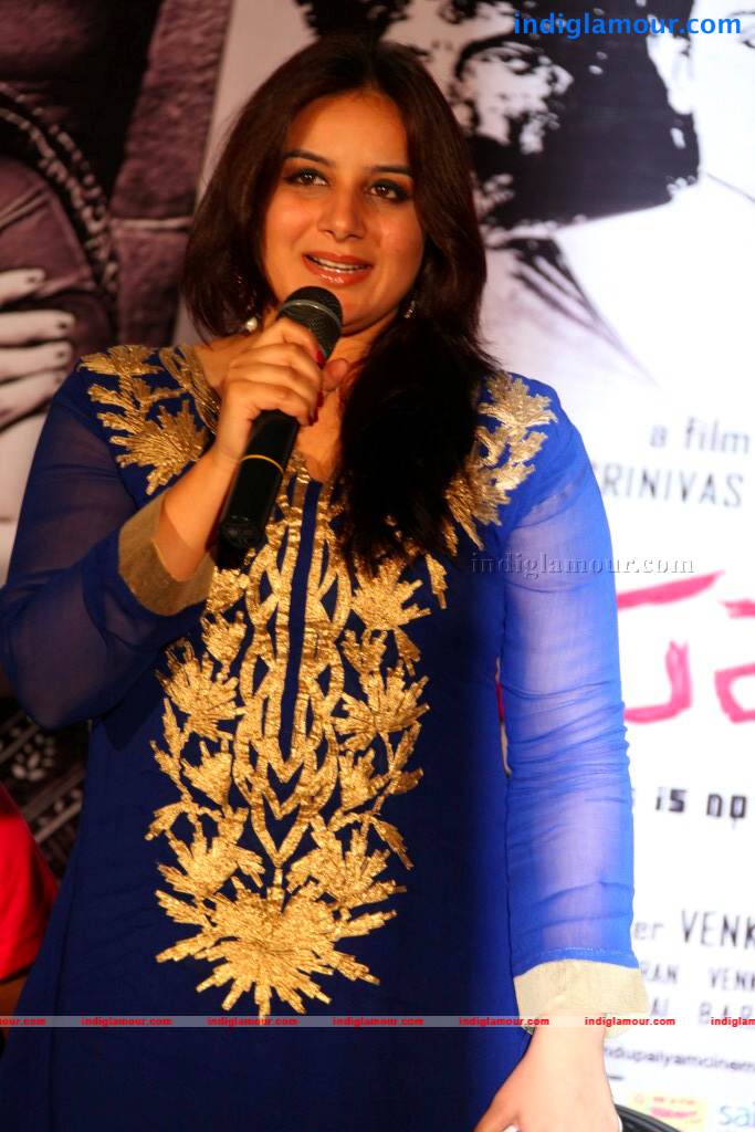 Dandupalyam Movie Press Meet Event hd photo