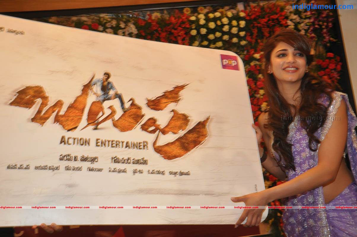 Balupu Trailer And Logo Launch Event hd photo