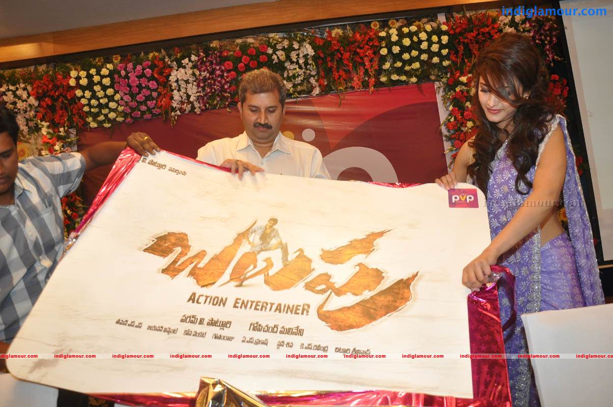 Balupu Trailer And Logo Launch Event hd photo